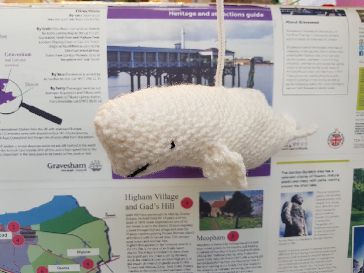 Visit_Gravesham's tweet photo. I am completely chuffed with my Benny or Belinda the Beluga Whale, kindly crocheted by a very talented Sarah, from #Gravesham Urban Knitters. π³
Swimmingly on show @GravesendMarket!
#BennyTheWhale @graveshambc https://t.co/hQJI2rEtc4