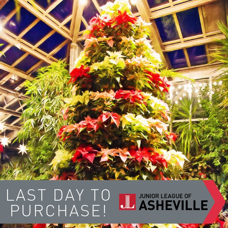 Jr League AVL tweet media