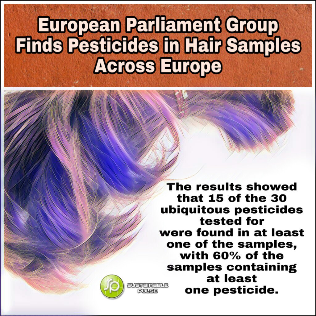 GlyphosateTest's tweet photo. We need to do this all over the world! It would be great to find out the difference in exposure to pesticides in different places.
https://t.co/4tqeUeCDYN
#pesticides #Bayer #Monsanto #WhatsInYourHair #DetoxProject https://t.co/9DOliE2jFr