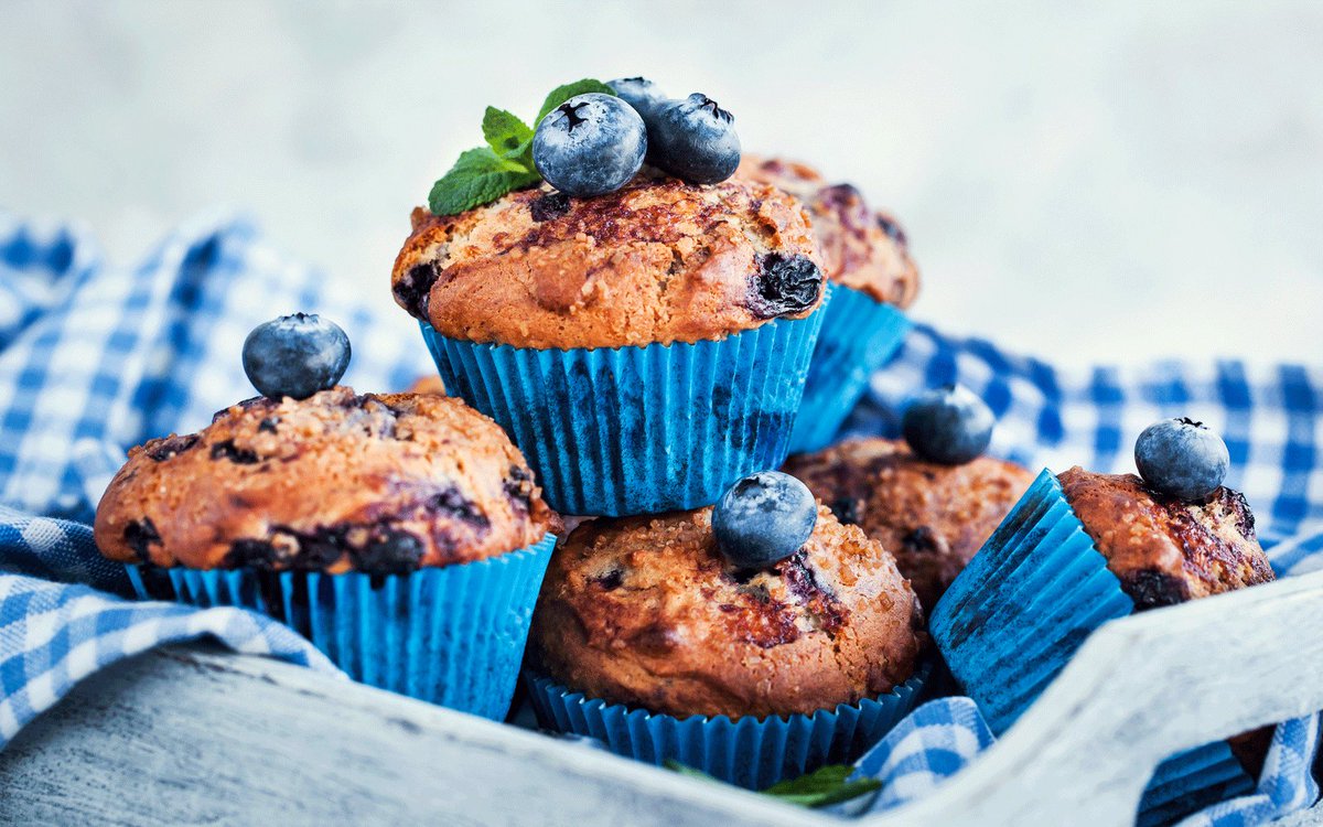 Every day is a good day for a delicious guilt free Blueberry Muffin! 💙🍪😋
Recipe included. 

#antioxidants #blueberries #lightmuffins #health #foodismedicine #wellbeing #healthyliving #smartdiet #smartfood #smartpeople #enliteme #smartfoodchoices #enjoy

enliteme.com/blogs/what-the…