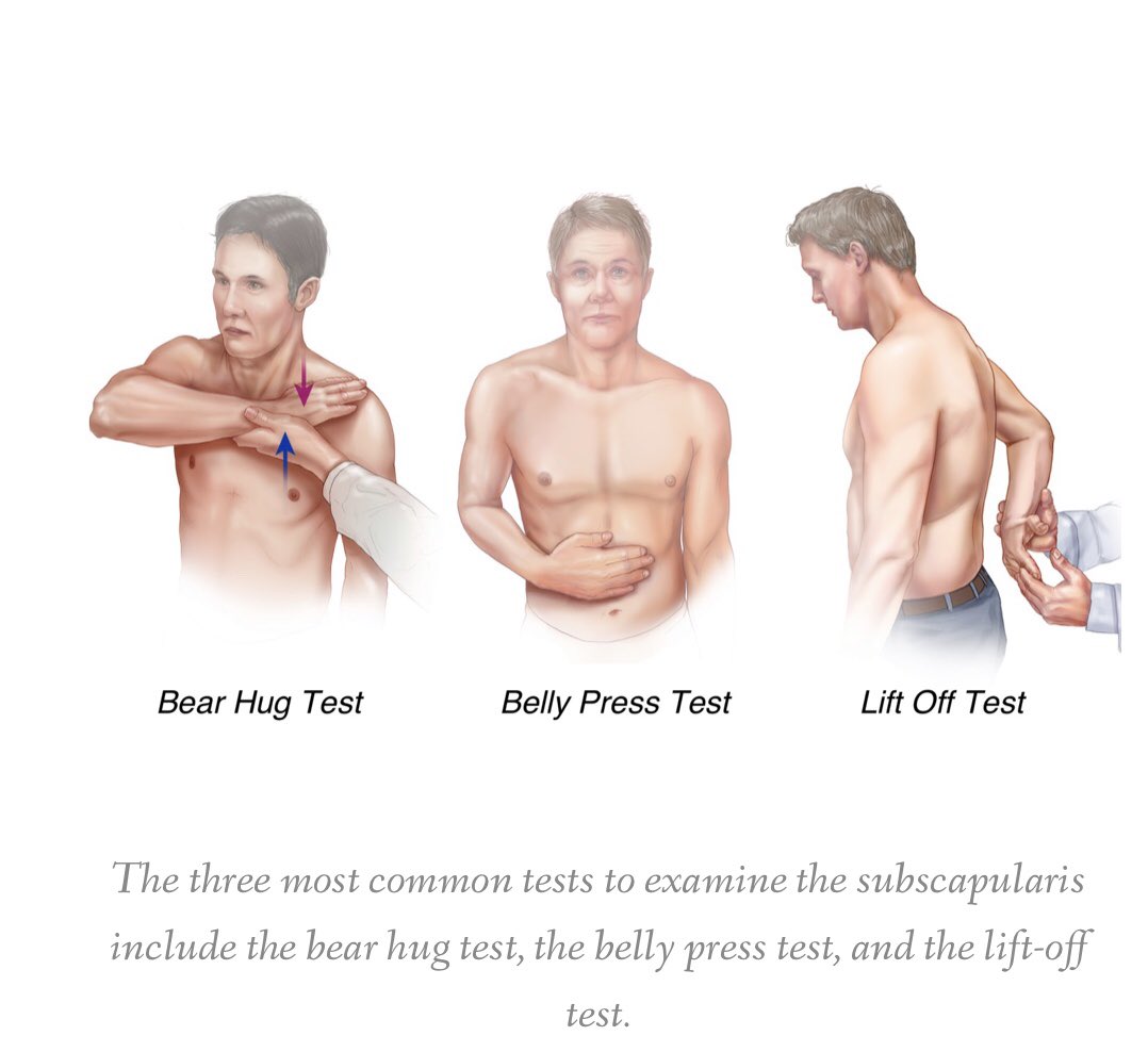 JoshCarrington's tweet photo. Simple strength test for your shoulders! Try it at home. https://t.co/la7FAndQVb