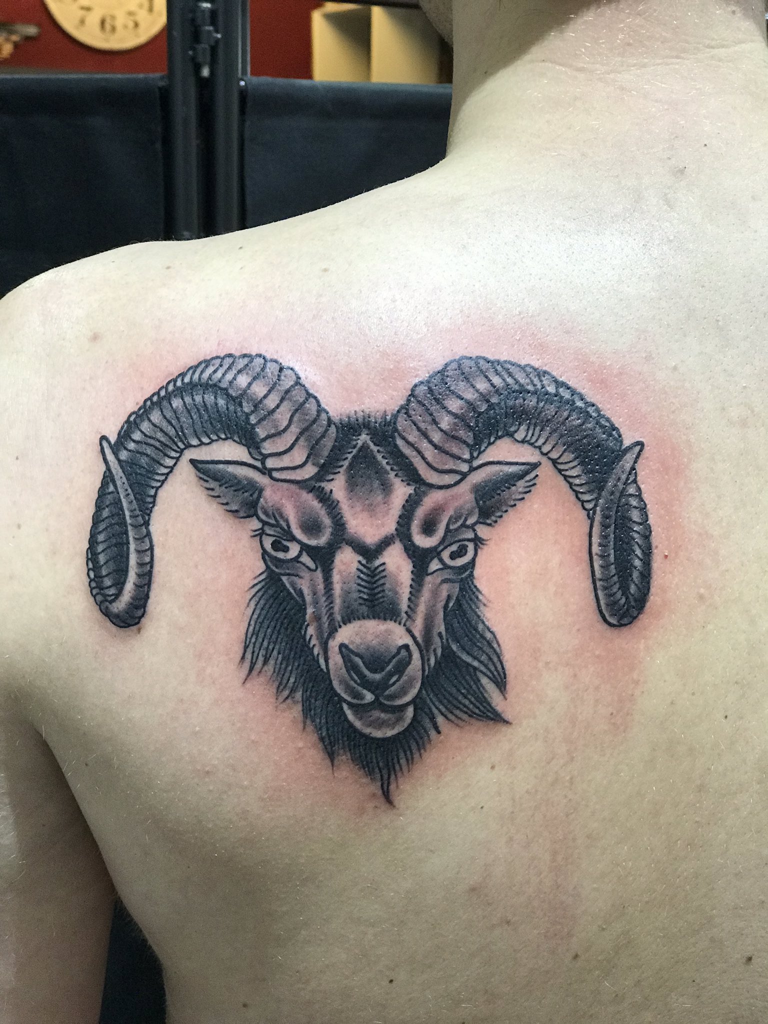 60 Silhouette Of Aries Ram Tattoo Designs Stock Photos Pictures   RoyaltyFree Images  iStock