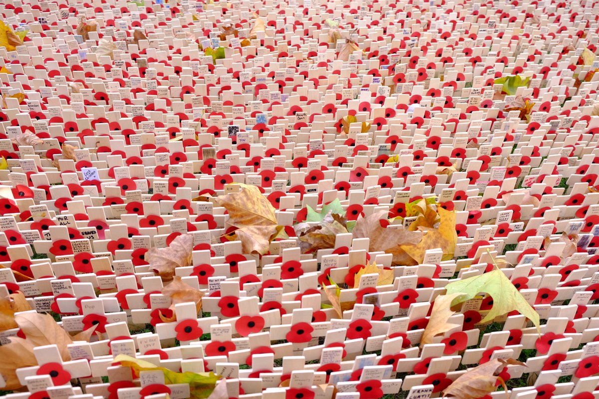 Row upon row, with their scarlet poppies, around 70,000 crosses carry personal messages to those who lost their lives in service of our country #FieldofRemembrance