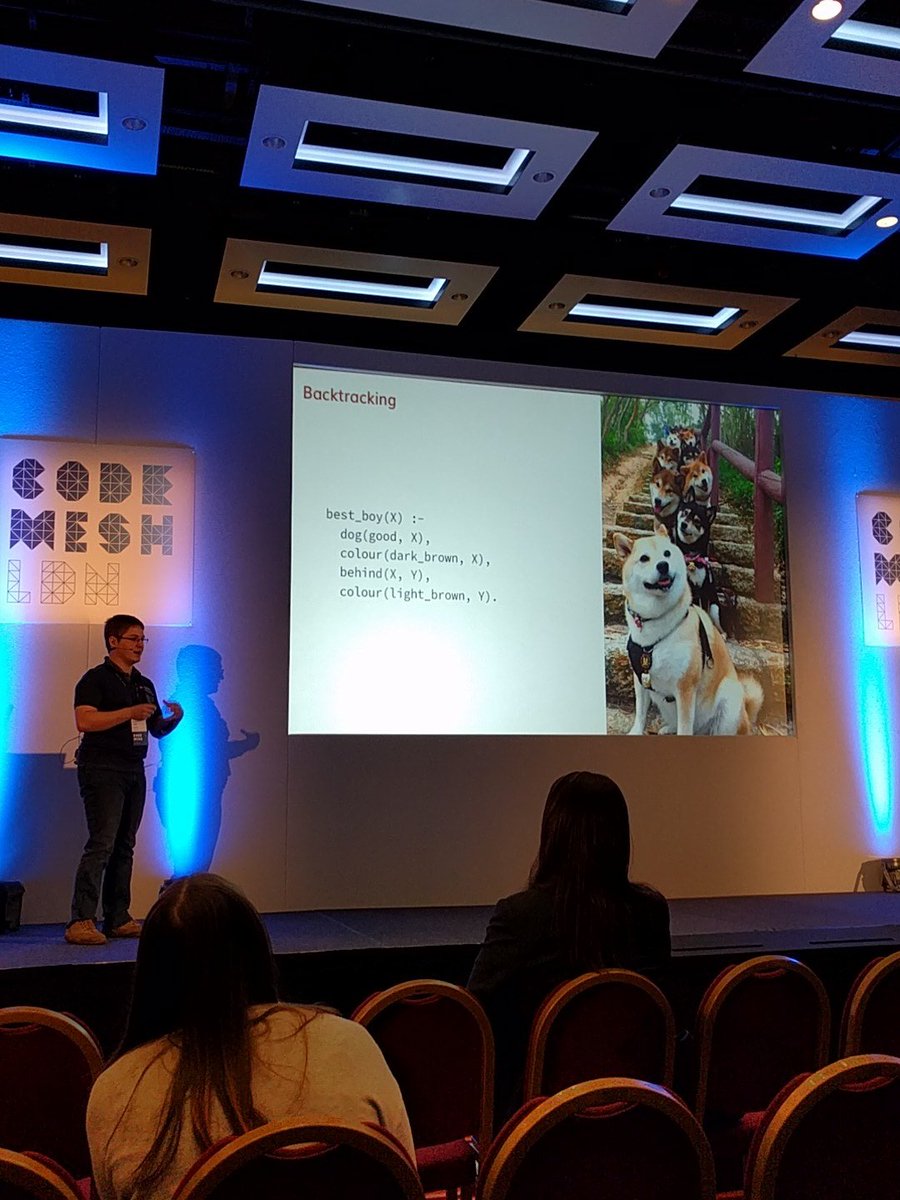 hillelogram's tweet image. THEY&apos;RE ALL THE BEST DOG #codemesh