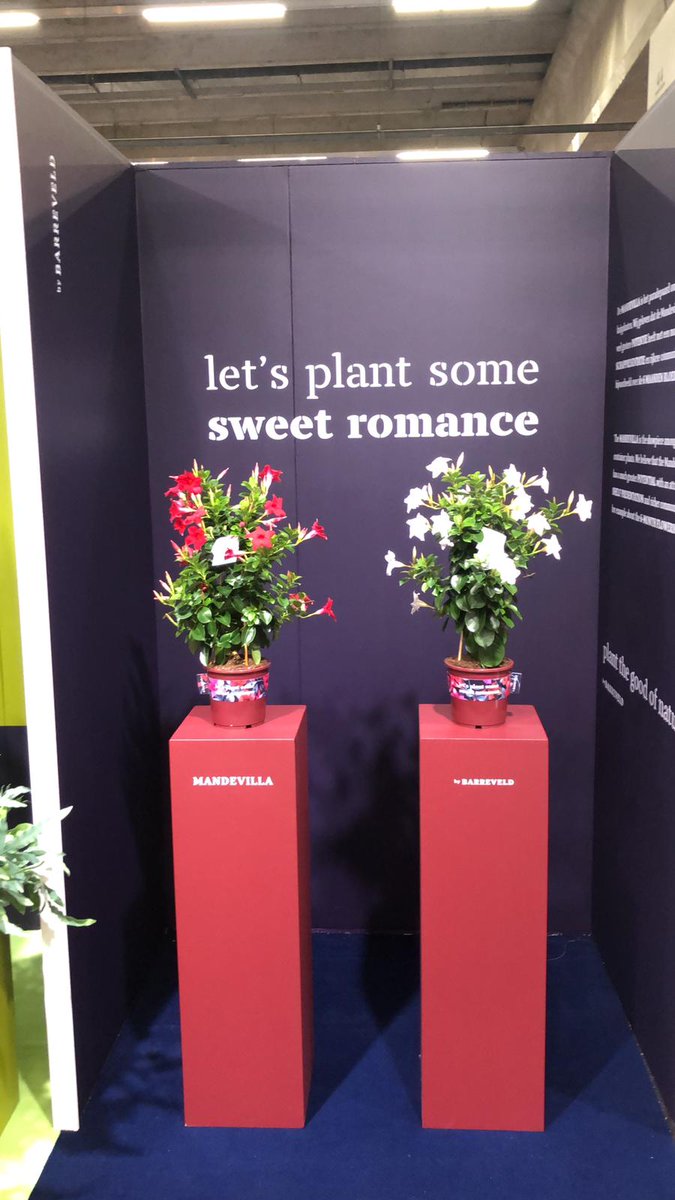 De tweede dag op de <a href="/RFHTradeFair/">Trade Fairs by Royal FloraHolland</a> Kom je gezellig langs bij onze stand? We staan er vandaag en morgen nog! #Tradefairaalsmeer2018 #RFHTF