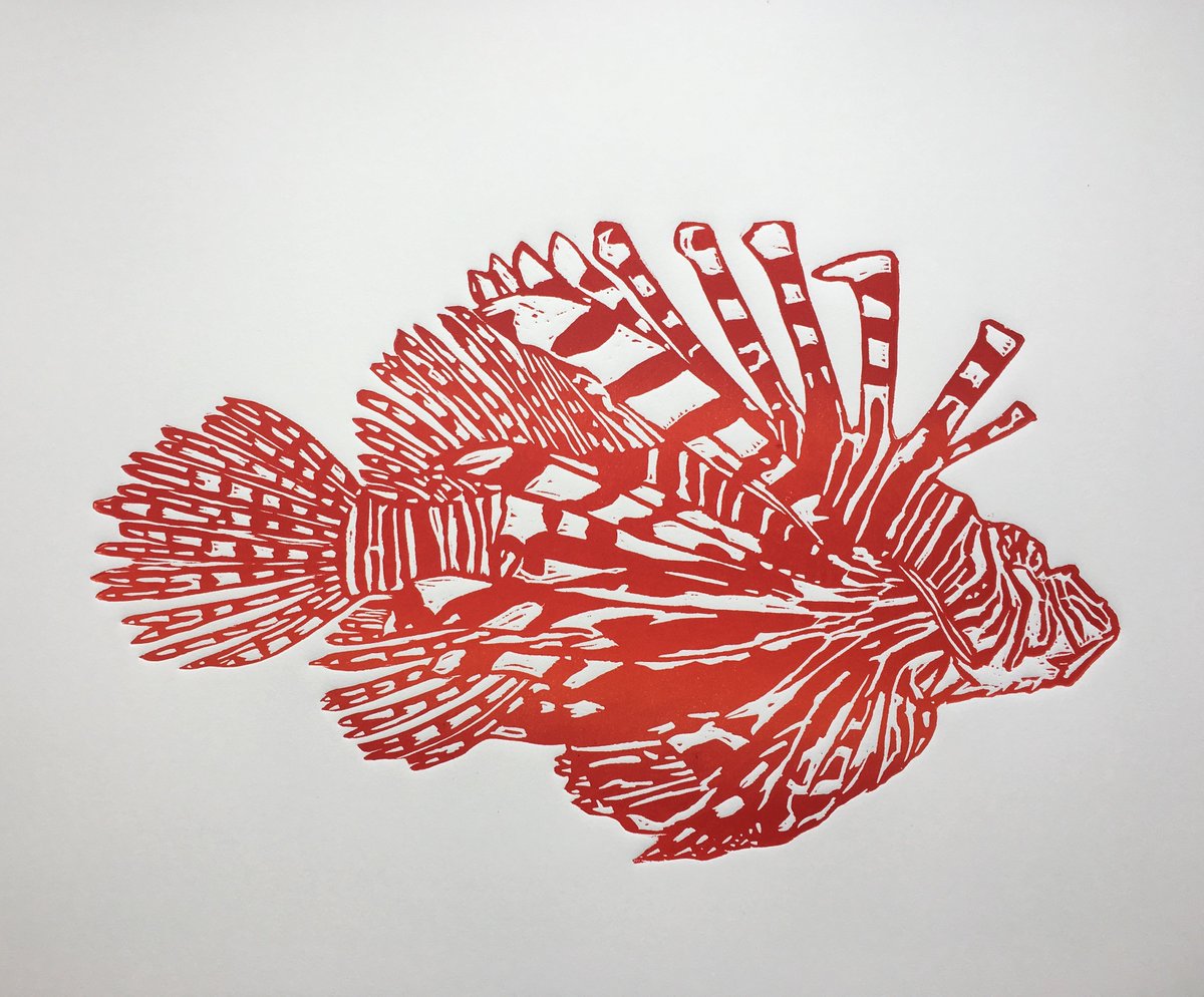 LeedsPrintFair tweet media