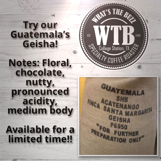 whatsthebuzzco's tweet photo. Try our Guatemala’s Geisha! Region: Acatenango
Variety: Geisha
Elevation: 1600 masl
Notes: Floral, chocolate, nutty, pronounced acidity, medium body
Available for a limited time!!
#specialtycoffee #Guatemala #coffeeroaster #whatsthebuzzcoffee https://t.co/PvnIfrISpm