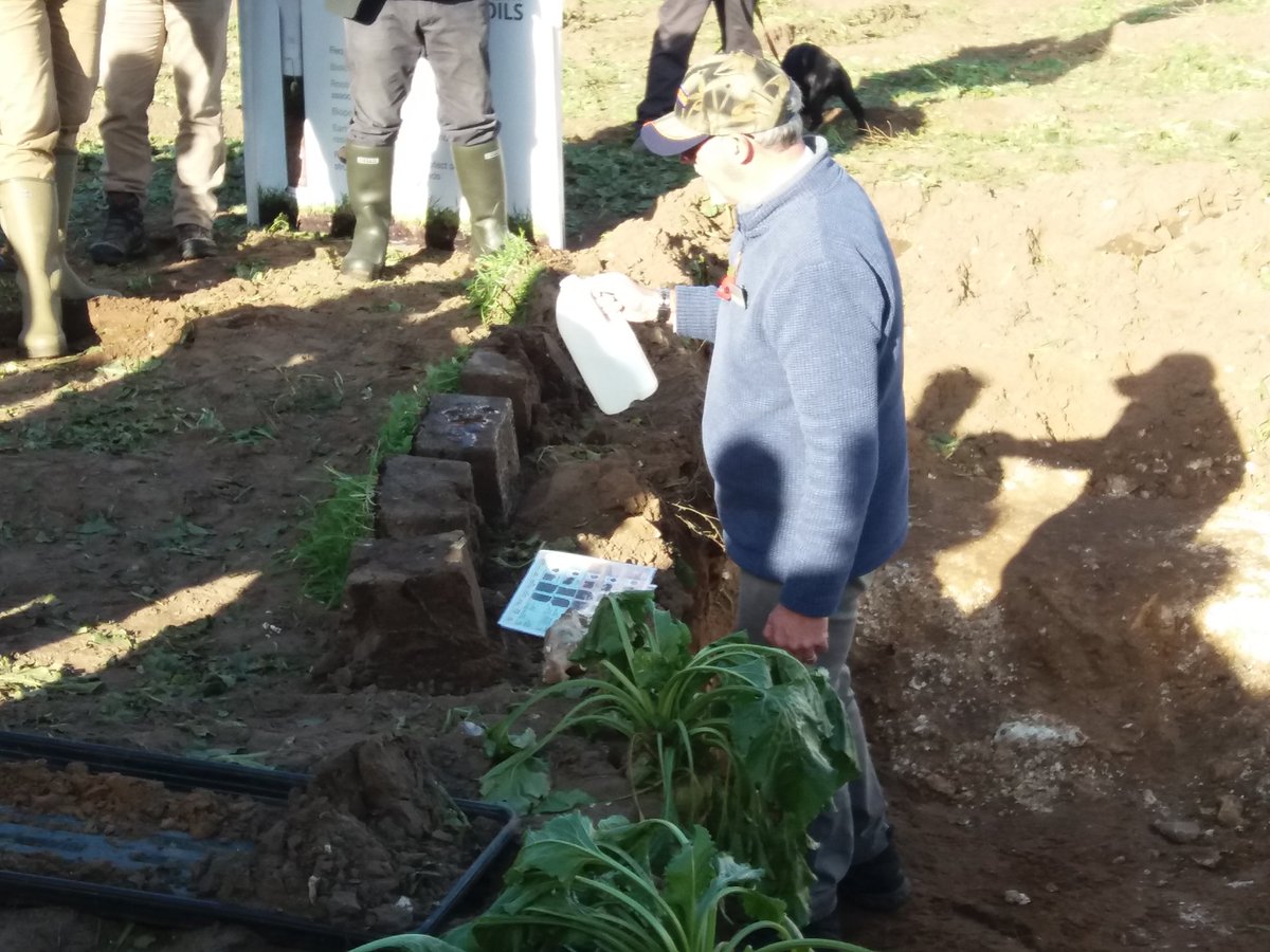 PippaArnold6's tweet photo. @Hutchinsons_Ag demonstrate how various covercrops aid structure as well as biology on sandy soils #soilsinpractice18 #SoilHealth https://t.co/2oBbUjHIhc