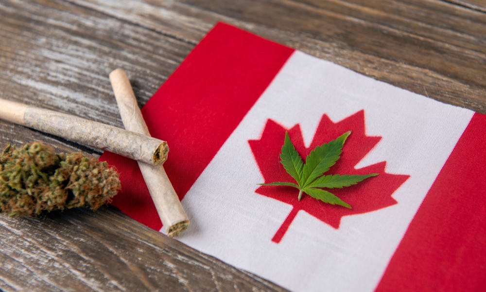 HIGH_TIMES_Mag's tweet photo. Canadian Officials Not Concerned About Organized Crime in Legal Cannabis. https://t.co/iFd7ZmSr7S https://t.co/ASIDcUF6So