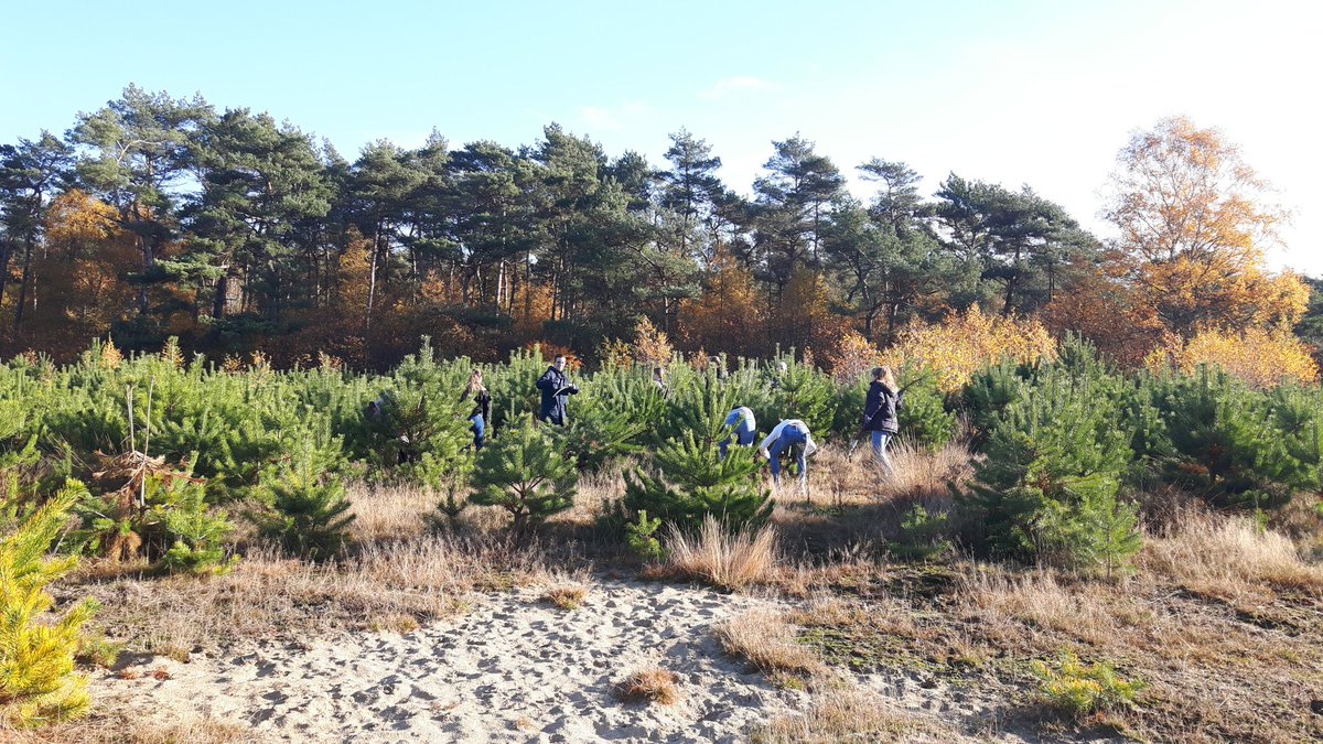 Vanmorgen 25 leerlingen van het CSG-Het Streek uit Ede op maatschappelijke stage gehad, veel werk verzet met dit mooie weer en veel lol gemaakt met elkaar.
Veel dank hiervoor, en tot volget jaar. #Ede #natuurgebied #gemeenteEde