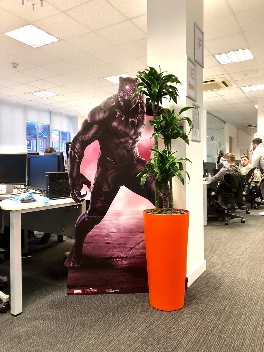 Plants like a hug too 🍃#plants #officeinterior #colour