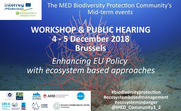 EcoSUSTAIN2017's tweet photo. SAVE THE DATE - The Mid-term workshop and public hearing of the Mediterranean  Biodiversity Protection Community featured by the PANACeA project will  take place in Brussels, 4th and 5th December 2018 #ecosustain #biodiversity #sustainable #Mediterranean #Brussels #ecosystems https://t.co/BytPXFCqaY