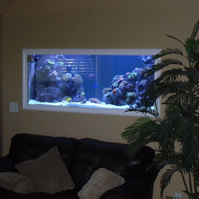 Creativeaquatics Hashtag On Twitter