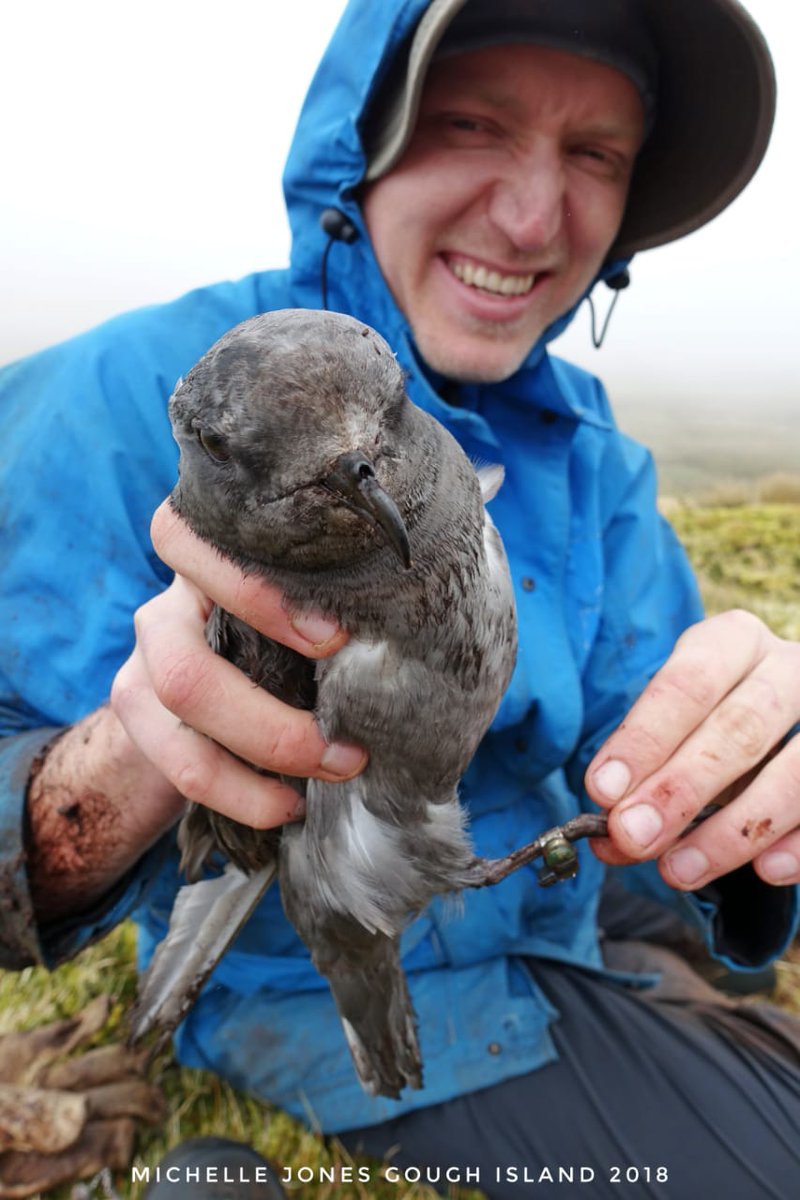 Geolocation Journeys tweet media