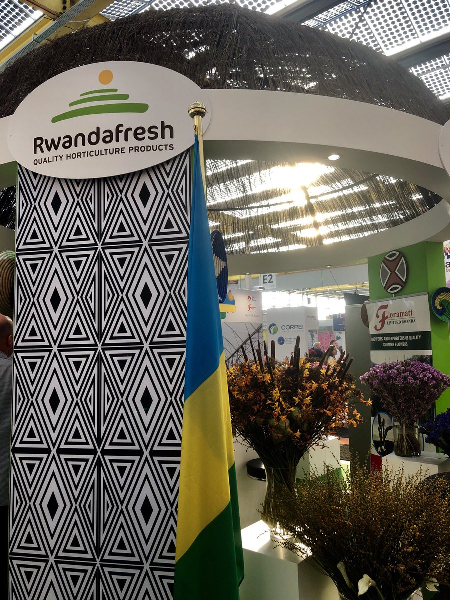 LMFlowerFashion's tweet photo. Invited by the @Rwanda_TheHague embassy to meet @Rwandafresh at the #IFTF2018! Gorgeous to see and learn more about flowers from beautiful #Rwanda!  @RwandAgriExport @RwandaAgri @RDBrwanda @JPKarabaranga @Sanurujeni #flowersfromRwanda https://t.co/B6HD5hUkQT