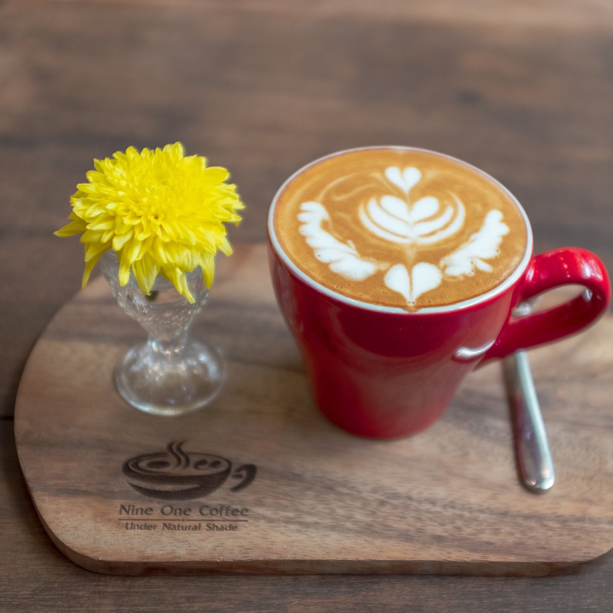 Smiling Coffee Snob tweet media