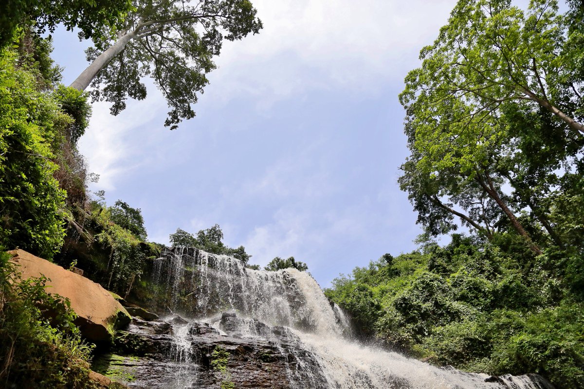ghanatourismGTA's tweet image. Awesome and wonderful fall, located on Kintampo &amp;amp; Tamale, its About 4 Km from the main town. The atmosphere and view is breathtaking and the water feels good. Visit #KintampoWaterfalls and #FlowWithNature. #seeghana #feelghana #discoverghana @NatureNews