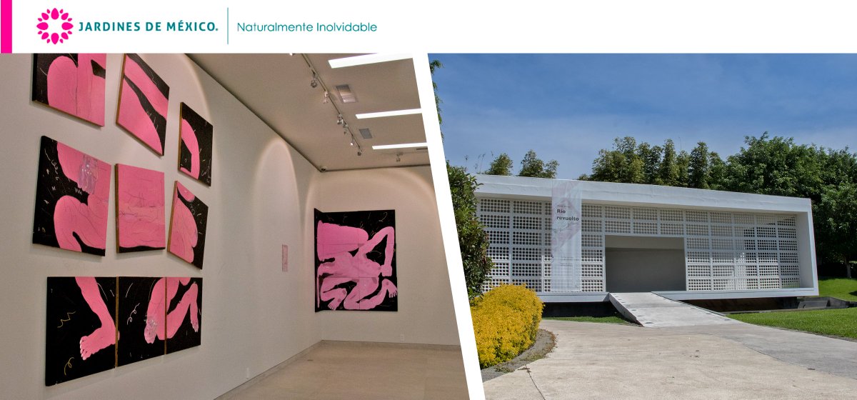 jardinesdemex's tweet photo. No pierdas la oportunidad de visitar en nuestra #GaleríaDeArte la exposición #RíoRevuelto del artista #DanielBerman; quien nos explica que su inspiración nació de lo que vio en internet y personajes de la vida diaria. https://t.co/jolejDV2r5