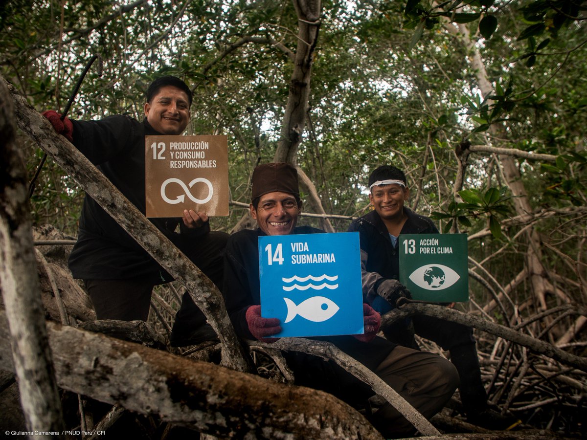 PNUDperu's tweet photo. ¡Ganamos el Film Festival #IWC9!
Las historias de Jose, Karen, Santiago y Erika, pescadores de 🇵🇪 y 🇨🇴 cautivaron a representantes de todo el 🌎 x sus esfuerzos x conservar los océanos y lograr una pesca sostenible. Ganamos el 1er puesto junto a Costa Rica https://t.co/WV2CMB86MP https://t.co/2OhVi4KU4r