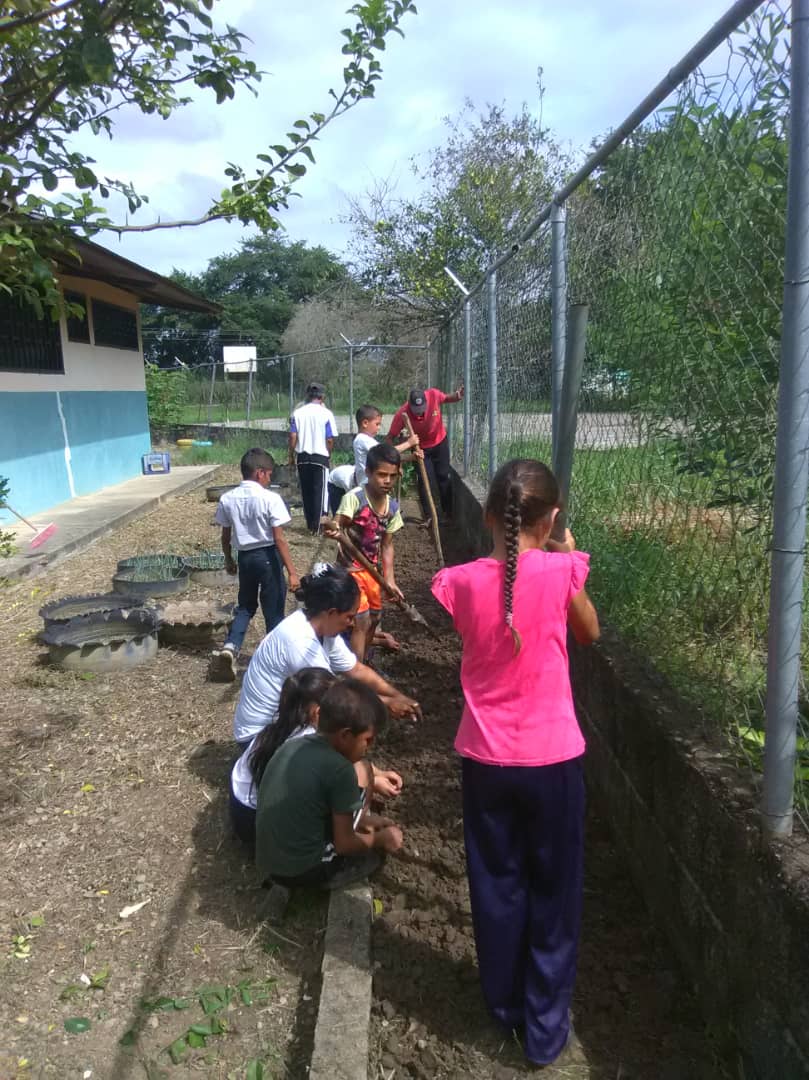 ptmsaat1's tweet photo. Preparacion de terreno para la siembra de aji en el Konuco Escolar E.B Jacinto Convit C.E 1.10 https://t.co/QbdNLZCcjG