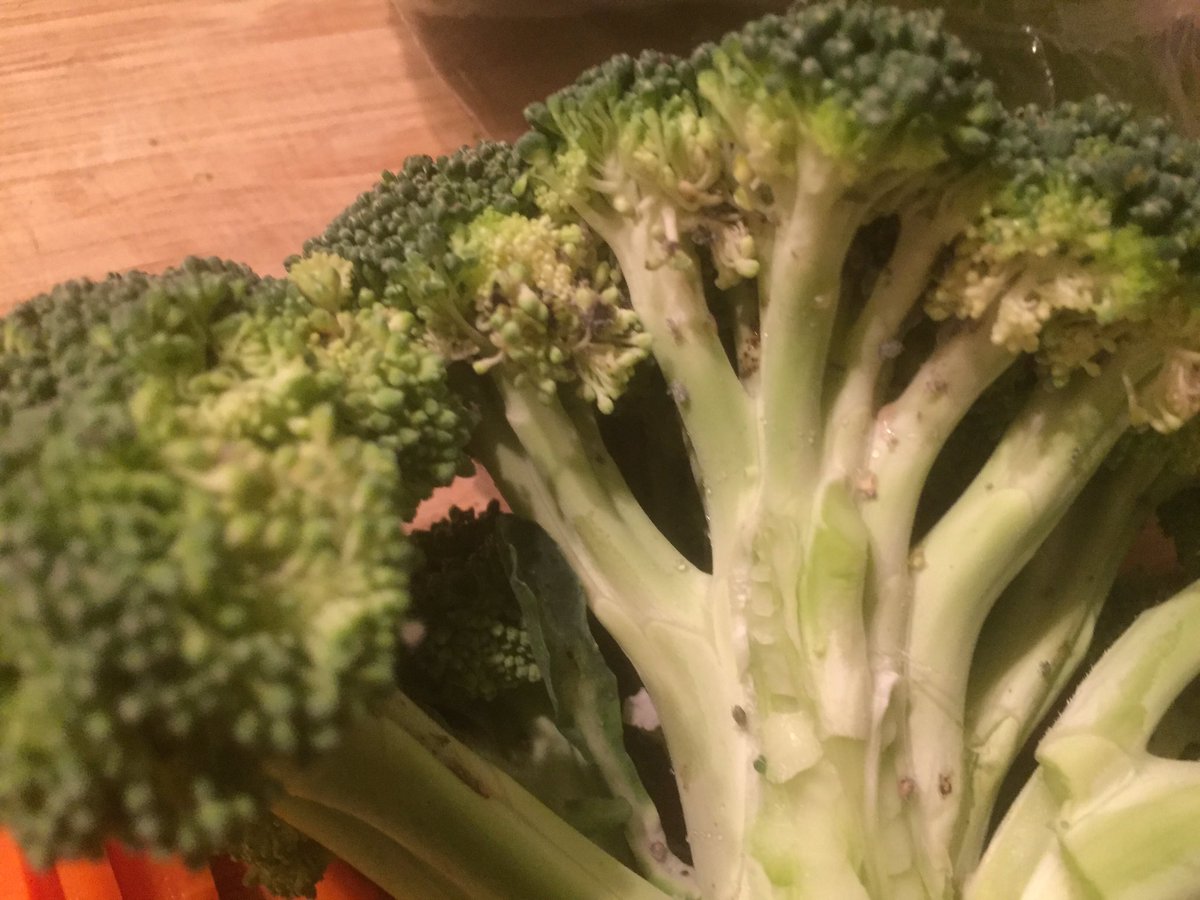StevenJobes's tweet image. Maggots in the Organic Brocoli at Tesco again, as this has happened to me before. So if you’re buying Organic Brocoli from Tesco this week, give it a good wash.
#foodhygene #tesco #organicfood #Brocoli #healthandsafety #news #woodgreen #boundsgreen #London #localnews