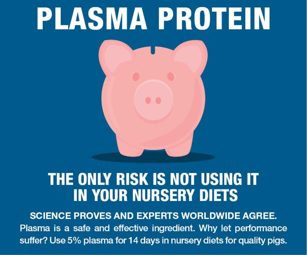 Egan Brockhoff tweet media