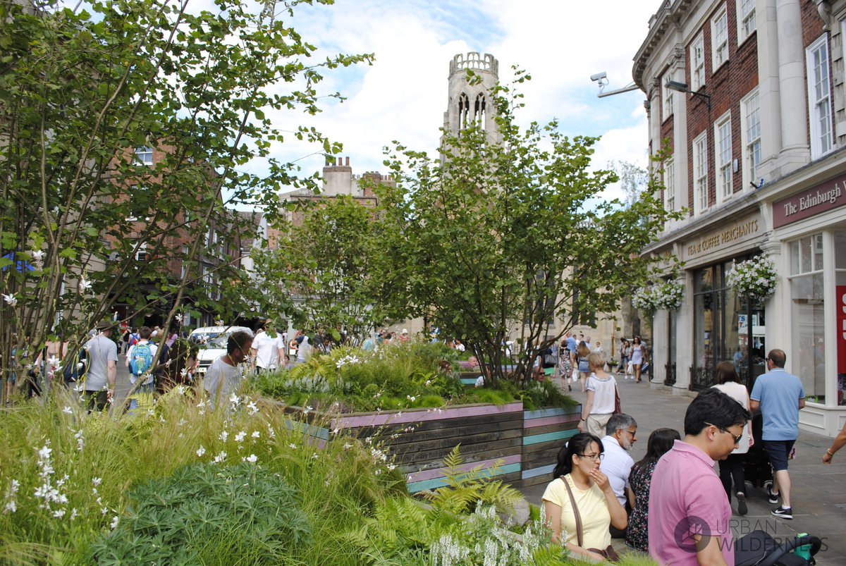 urban_wild's tweet photo. Woop! Woop! Our temporary landscape for this years Bloom Festival in York has been shortlisted as a finalist for the Landscape Institute Awards 2018! Thanks again to everyone involved! @McArthurGlenUK @BloomYork @MakeItYork @talklandscape #LIAwards2018 #landscapedesign #Yorkshire https://t.co/BQwn7JizeP