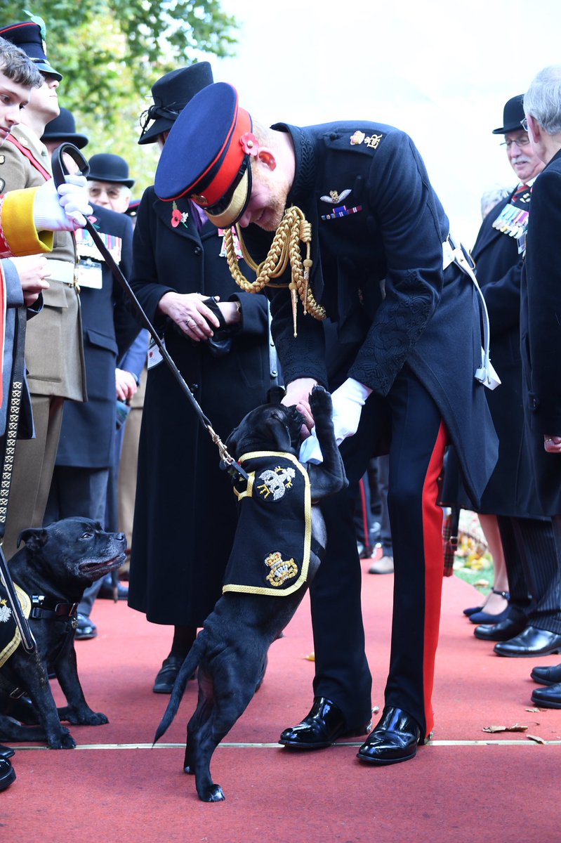 The Duke of Sussex meets war veterans, members of the Armed Forces and Staffordshire Regiment Association mascot ‘Watchman 6’ at the @PoppyFactory #FieldofRemembrance