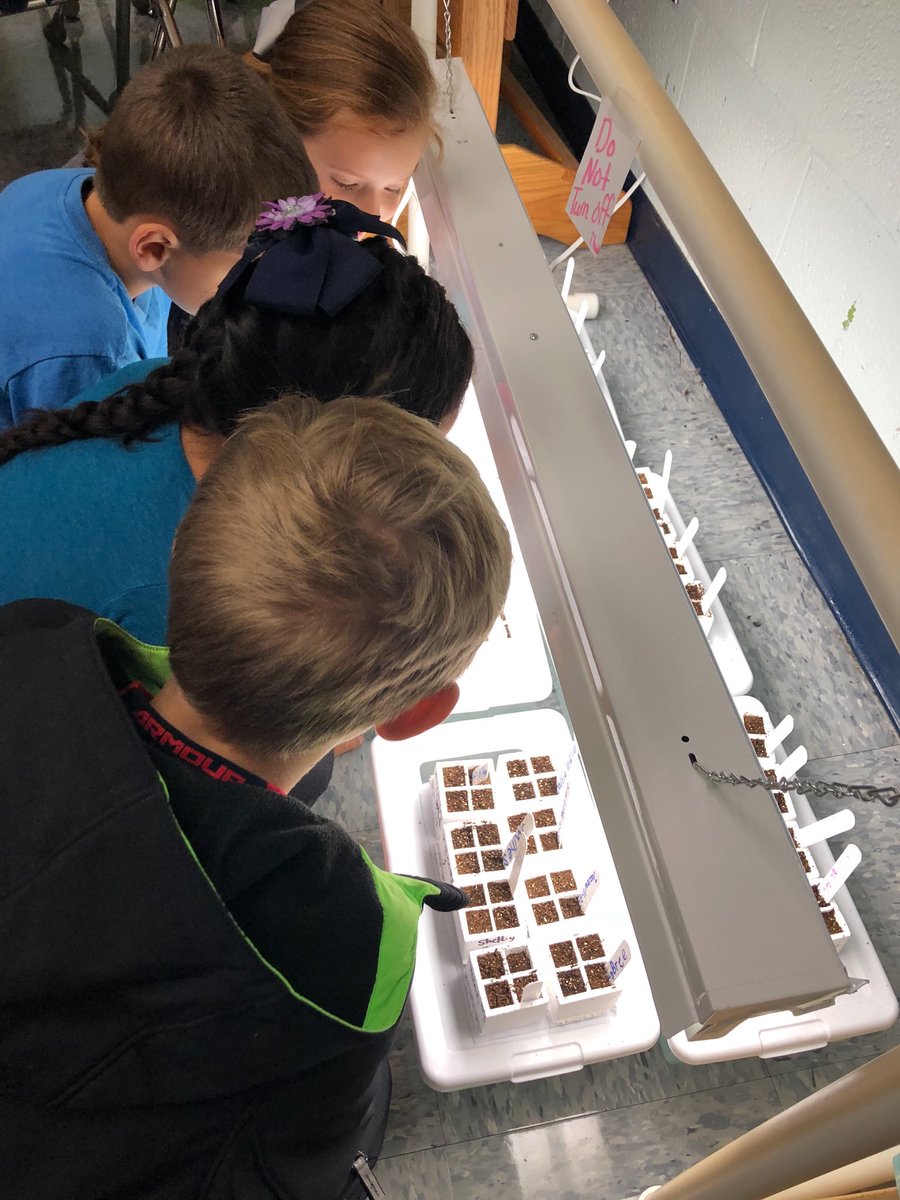 Mrs Scoggins 2nd grade gardeners! Wisconsin Fast Plant