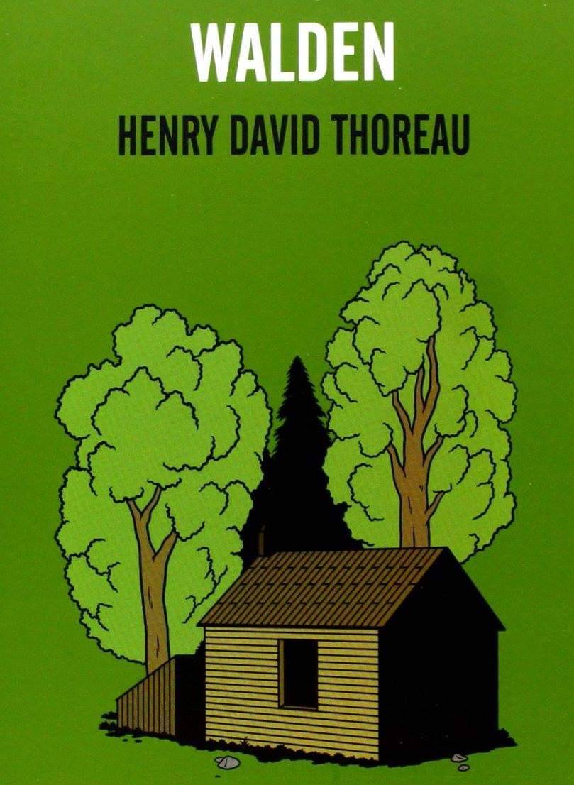 Nemo_Books tweet media