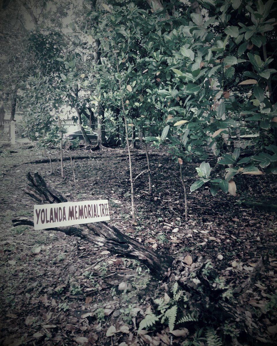 learningdiahry's tweet image. #ClimateJustice: "Coming together to reclaim the rights of people who have the least responsibility in climate change yet suffer the greatest consequences." 
#TyphoonHaiyan on its 5'th year, it's one of the many stories from the past that we can learn from and act upon.