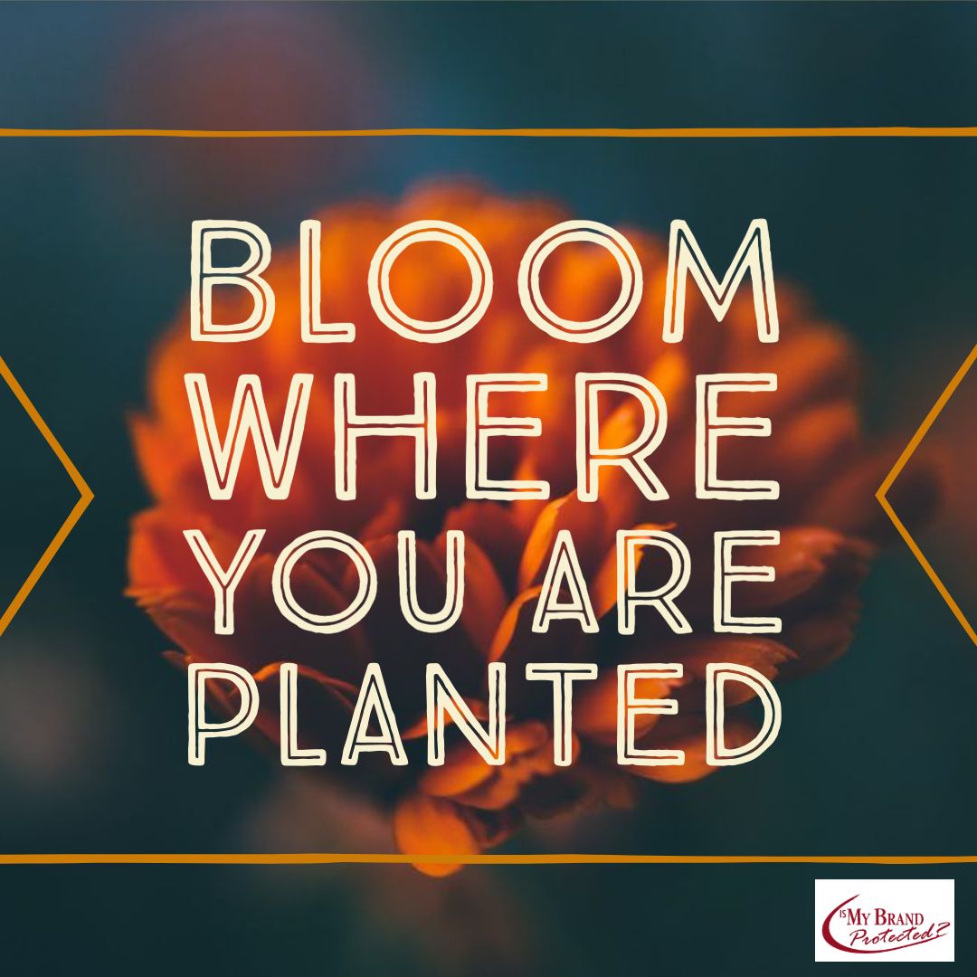 AttorneyAurelia's tweet photo. Bloom Where You Are Planted ~ #AMDLAW #BrandProtection #IntellectualProperty https://t.co/OrQLtuJOj8