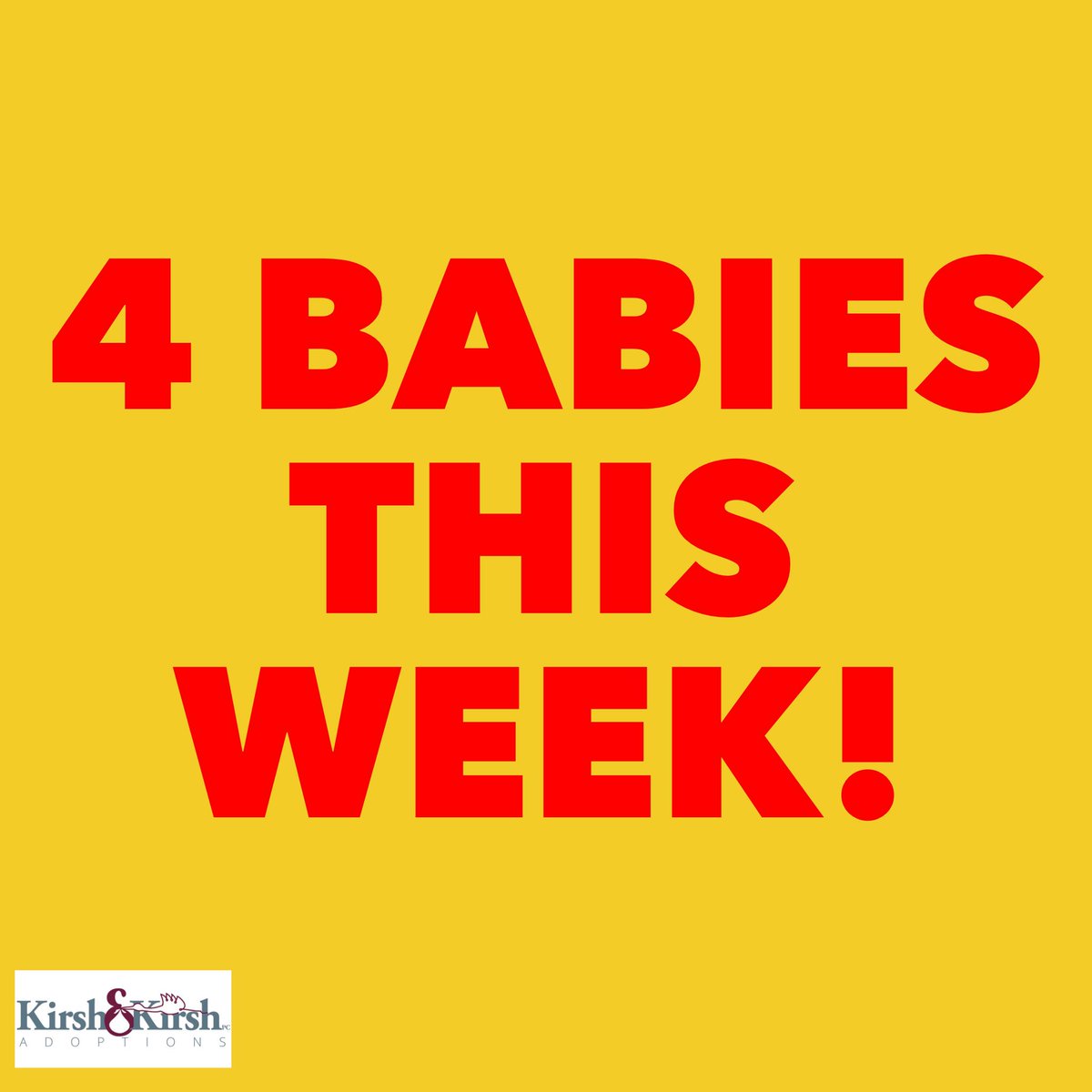KirshandKirsh's tweet photo. It has been a busy week! Lots of amazing women making incredibly difficult decisions to provide their children with the lives they want them to have โค๏ธ๐คฉ
โบ๏ธ
https://t.co/yWVFCumURg
#indianadoption #indiana #adoption #adoptionindiana #adoptionattorney #adoptionagency https://t.co/vUPbDTFA1a