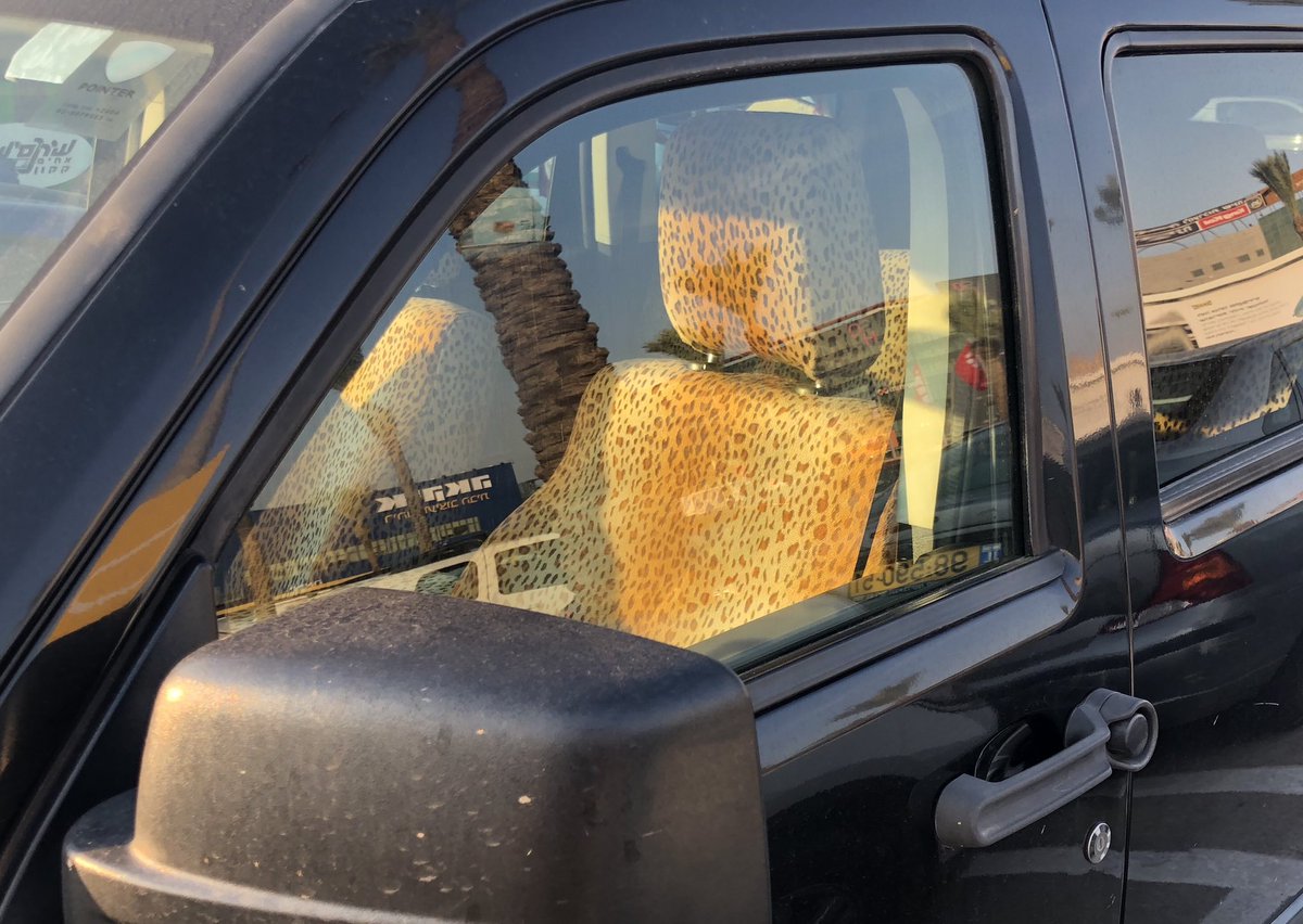 space_tree's tweet image. שמעתי שמנומר חזר לאופנה, אבל בתור ריפודים לרכב זה באמת כבר מוגזם.