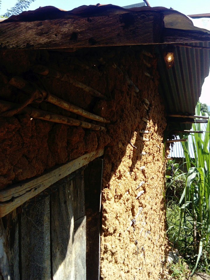 comunicacionPIK's tweet photo. Casas tradicionales en atanquez.
Aún hay personas que las hacen y habitan felizmente en ellas, son más frescas, más estables  y lo más importante mantiene viva la cultura y tradición de un pueblo. https://t.co/tdAeDUjukn