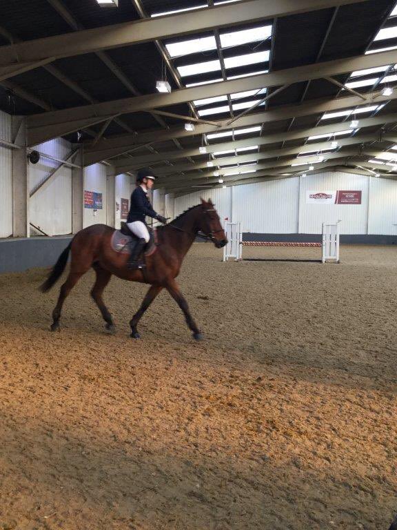 LOGS_Sport's tweet photo. Well done to@LOGS_Lewes equestrian team at the recent @nseachamps14 National Championships. The write up is on the website. Great performance from the girls and thanks to the parents for all their help and support 😀⭐️👏🐴😀 https://t.co/vVA51V9Jwf