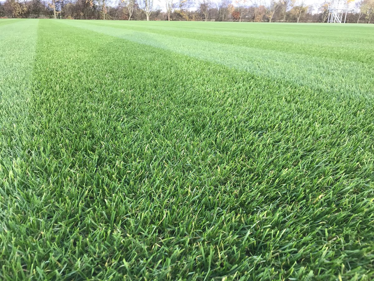 FAW National Football Development Centre, 3G and natural turf pitches developing well.  Great work from <a href="/petervalentin15/">peter valentine</a> <a href="/CLSsport/">CLS Sports</a> <a href="/BLFencing/">B&L Fencing Services</a> <a href="/Hamilton_Steel/">Hamilton Steel Buildings Ltd</a> <a href="/LawrayCdm/">Lawray CDM</a> <a href="/AcumenWaste/">Acumen Waste</a> #collierspark #football #faw