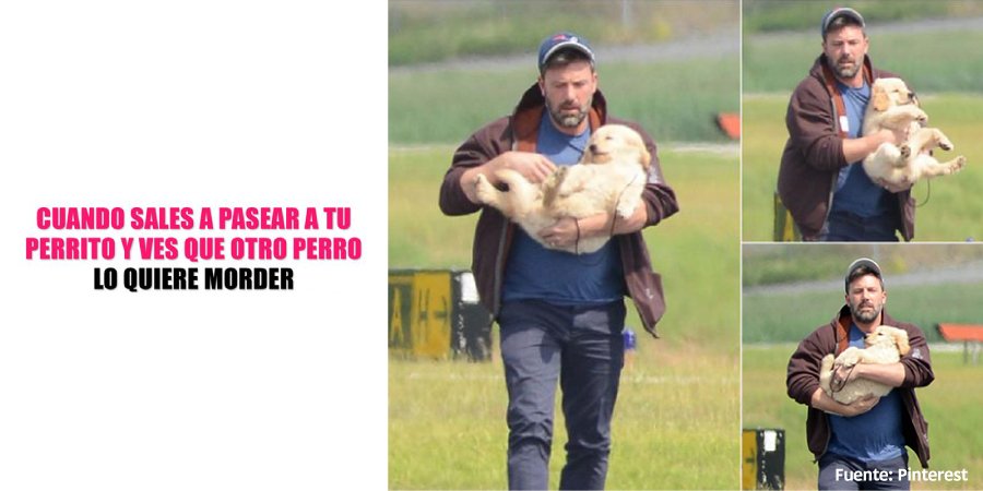 cuidandog's tweet photo. Nuestros #PaseaDogs harían esto y mucho más por proteger a tu perrito😊 Te ofrecemos los mejores servicios, 
¡Descarga nuestra App! 📱Google Play: https://t.co/rYIAsQH8em
#CuidanDog #ServiciosConAmor #PaseaDog https://t.co/UQQ8Mo8op3