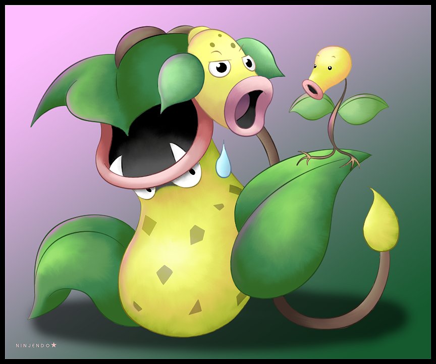 Callejeros Pokémon on X: Bellsprout, Weepinbell y Victreebel se inspiran  en unas plantas carnívoras conocidas como Plantas jarro.   / X