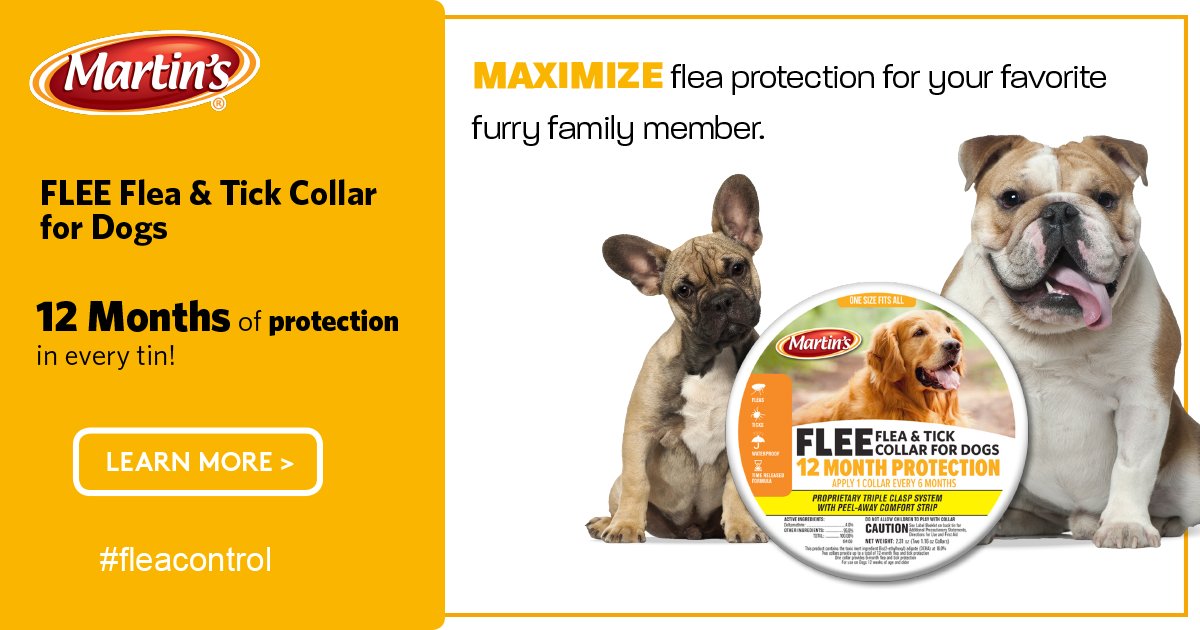 MartinsBrand's tweet image. Keep your furry family members protected even in the cooler months! #fleaprotection #fleacontrol #fleacollar
LEARN MORE &amp;gt; hubs.ly/H0frszd0