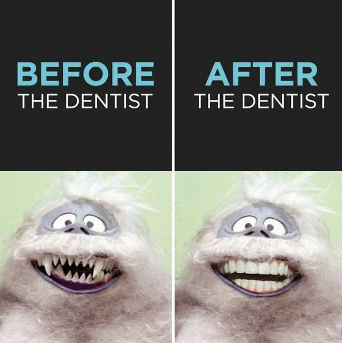 Dentalplus