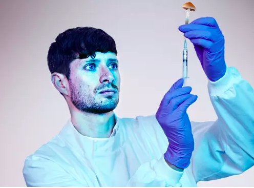 LadburyPR's tweet image. Magic Medicine review – making the case for mushrooms @guardian: "The results are startling" @PeterBradshaw1 #magicmedicine bit.ly/2zHDVOu