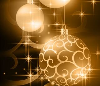 Les fêtes de fin d'année approchent... 
Partager un moment unique dans un cadre singulier avec vos collègues, collaborateurs ou clients. 
Menus SPECIAL ENTREPRISE à découvrir 
Contacter Gabrielle ou Else au 02.41.21.05.08
commercial@hoteldanjou.fr