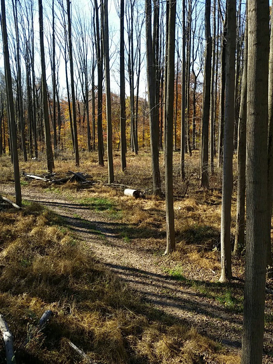 jsfishnbuddy's tweet image. #RutRollCall they're chasing in Maryland @TheQDMA. Already bungled two opportunities.