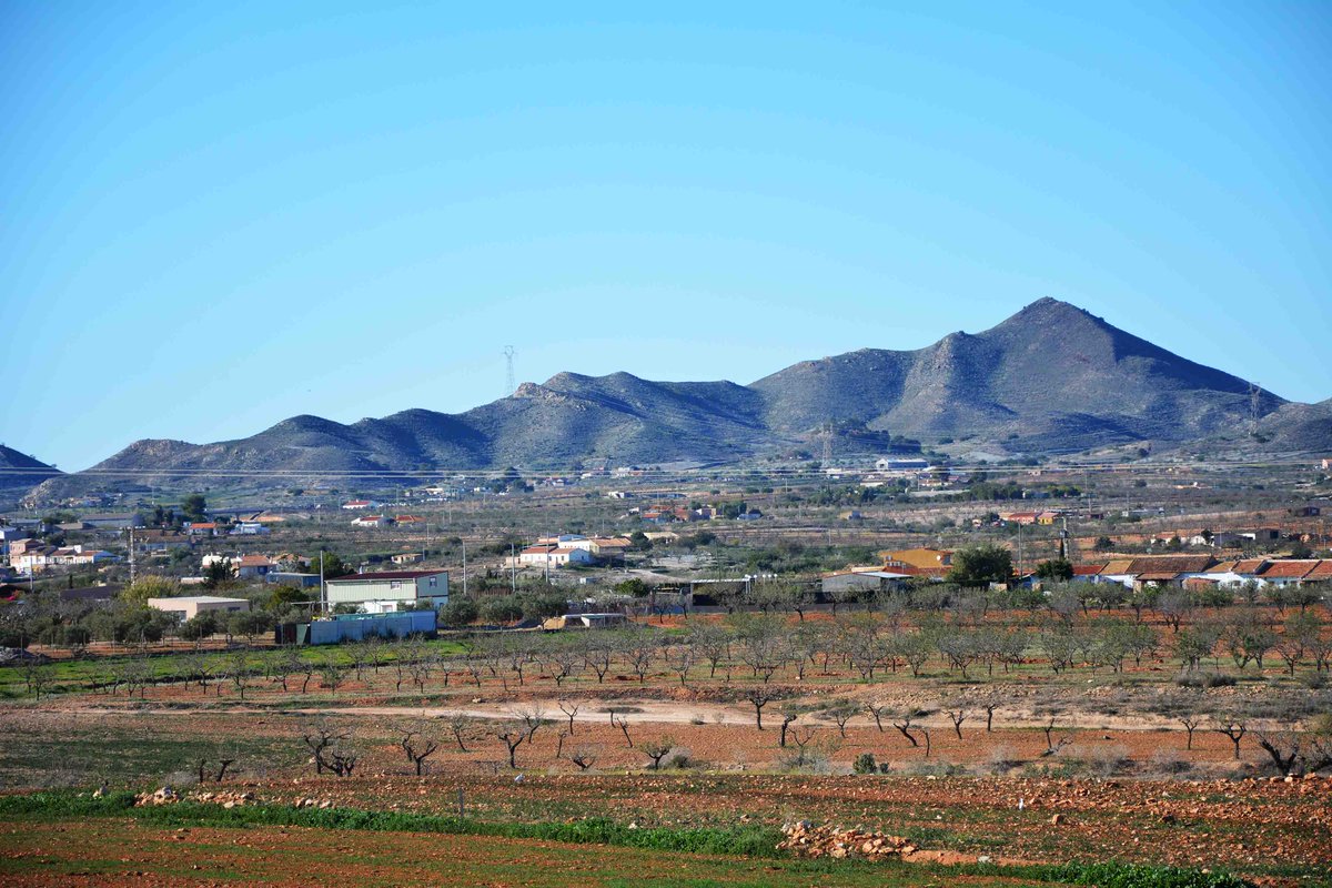 ECUGArbancillo's tweet photo. Ámbito de la #ECUGA, zona idónea para realizar #turismo ecológico, natural y científico en la Región de Murcia ¡Ven a visitarlo! https://t.co/vAuyxxPGiI ☀️🌋🌱 #ecoturismo #turismonatural #turismosostenible #medioambiente #naturaleza #volcanes https://t.co/4d0Ll2rLxo
