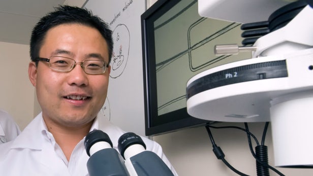 Scientists report exciting advance bespoke #cancer treatments: new #immunotherapy screening technology that greatly accelerates the creation of drugs that can target individual tumors w/ 100% specificity
ow.ly/xxlo30mxY6f