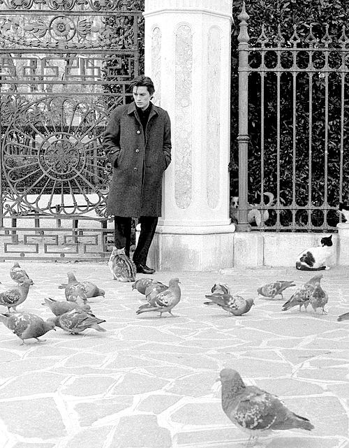 Alain Delon Mengucapkan Selamat Tinggal Pada Legenda