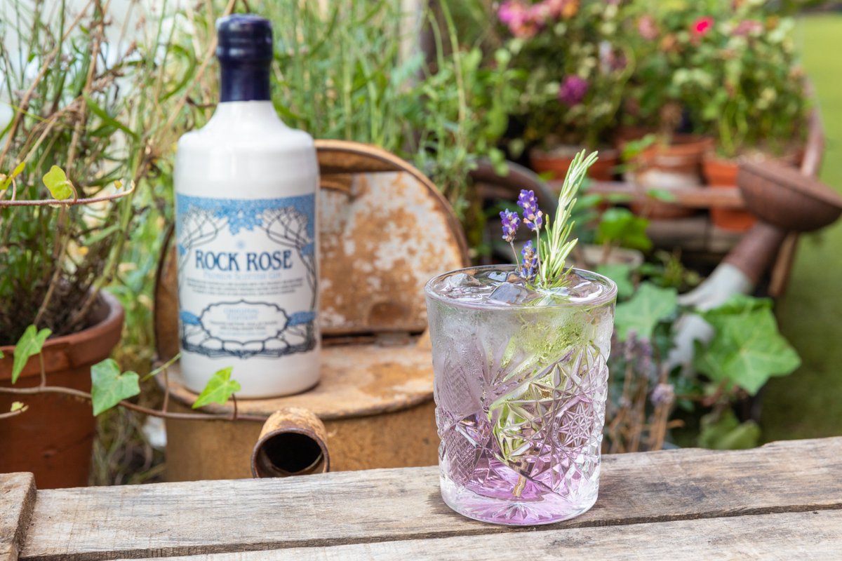 HarveyNichols's tweet photo. Calling all cocktail lovers! @Cocktailsinthec is back 9 - 10 Nov @thehubroyalmile.
#HNEdinburgh have partnered with @RockRoseGin, the new gin brand hailing from the Dunnet Bay Distillery, to create some fantastic cocktails for this event.
#CITCEDIN 🍸 https://t.co/AFT8RhZxSo https://t.co/7QiNLvNEOu