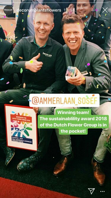 Wilma Broch (@wilma_broch) on Twitter photo De winnaars van de #dutchflowerawards #2018 zijn bekend #Congrats <a href="/AmmerlaanSosef/">Jef Ammerlaan-Sosef</a> #Honselersdijk De winnaars van de #dutchflowerawards #2018 zijn bekend #Congrats <a href="/AmmerlaanSosef/">Jef Ammerlaan-Sosef</a> #Honselersdijk