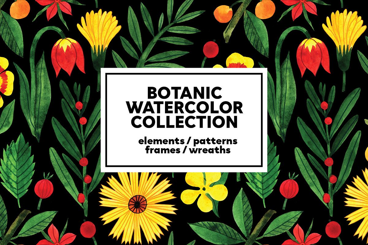 Liam McKay tweet media